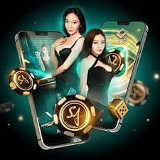The Dog House bonus features display clearly within our gnrtoto gameplay interface during bonus rounds. The Dog House bonus round animation sequence on gnrtoto interface showing free spins and multiplier outcomes